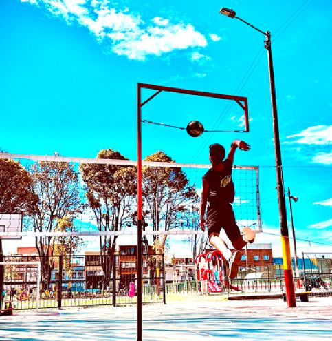 Voleibol